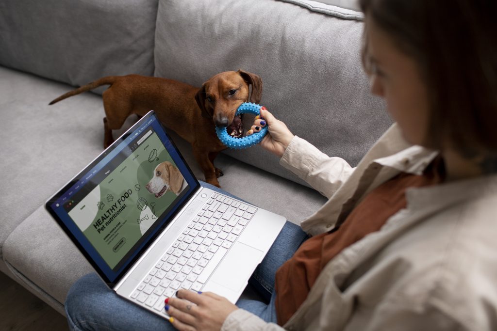 cat food for sale online